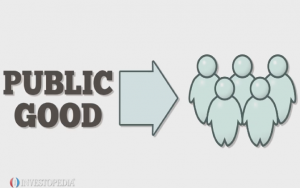 Public Good Definition is Weird.